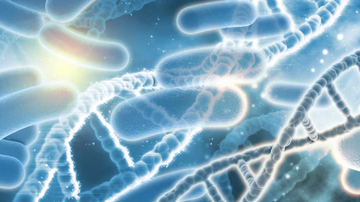 Bactérias dispostas sob lente e filamentos de dna.