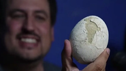 Cientista segurando ovo de dinossauro preservado.