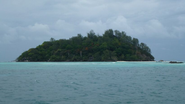 Ilha reflorestada.