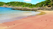 Praia de areia rosa.