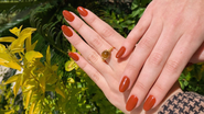 Unhas terracota.