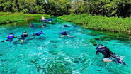 rio sucuri