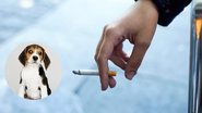pessoa fumando, com imagem de cão ao lado