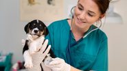 veterinária com filhote de cachorro