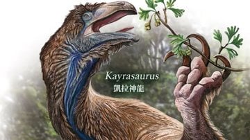 dinossauro plumado