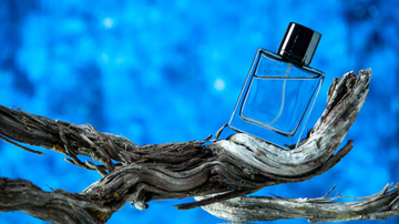 perfume de frasco azul sob galho de árvore.