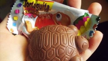 bombom de chocolate com formato de tartaruga.