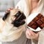 cachorro no colo de dona, que está segurando doce.