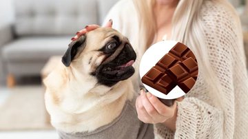cachorro no colo de dona, que está segurando doce.