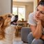 cachorro latindo, humana sentada olhando o animal.