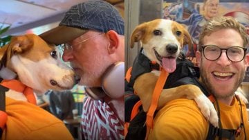 homens ao lado de cães