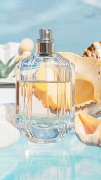 Perfumes cítricos baratos: 5 opções para os dias quentes