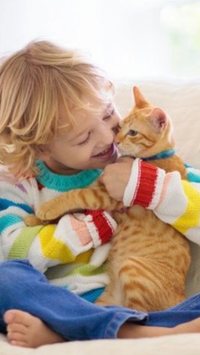 7 melhores raças de gatos para quem tem criança em casa