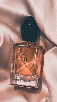 5 perfumes femininos inesquecíveis para você marcar presença