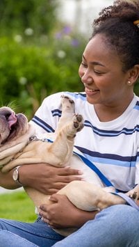 5 raças de cachorro mais brincalhonas