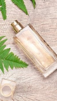 Top 5 perfumes contratipos para o Verão de 2024