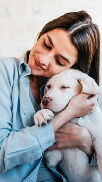 4 raças de cachorro mais carinhosas