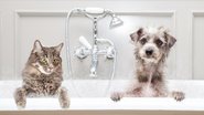 adogslifephoto/iStock