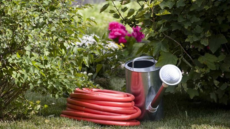 Adotar práticas conscientes é uma forma de cuidar da sua saúde, proteger o meio ambiente e valorizar seu lar. - dzentry/iStock