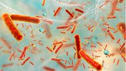 Dr_Microbe/iStock