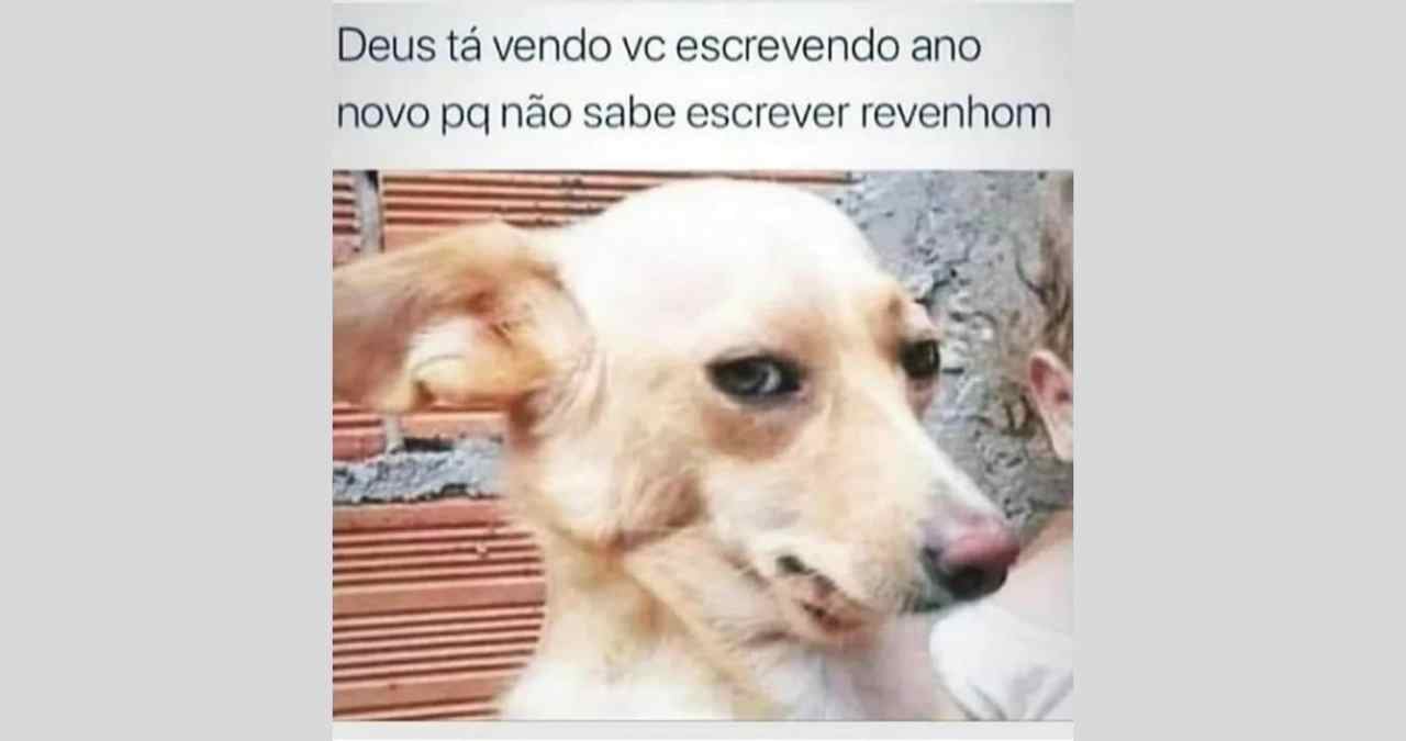 escrevendo memes de Ano-Novo