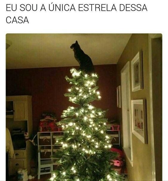 memes de natal para compartilhar no grupo da família