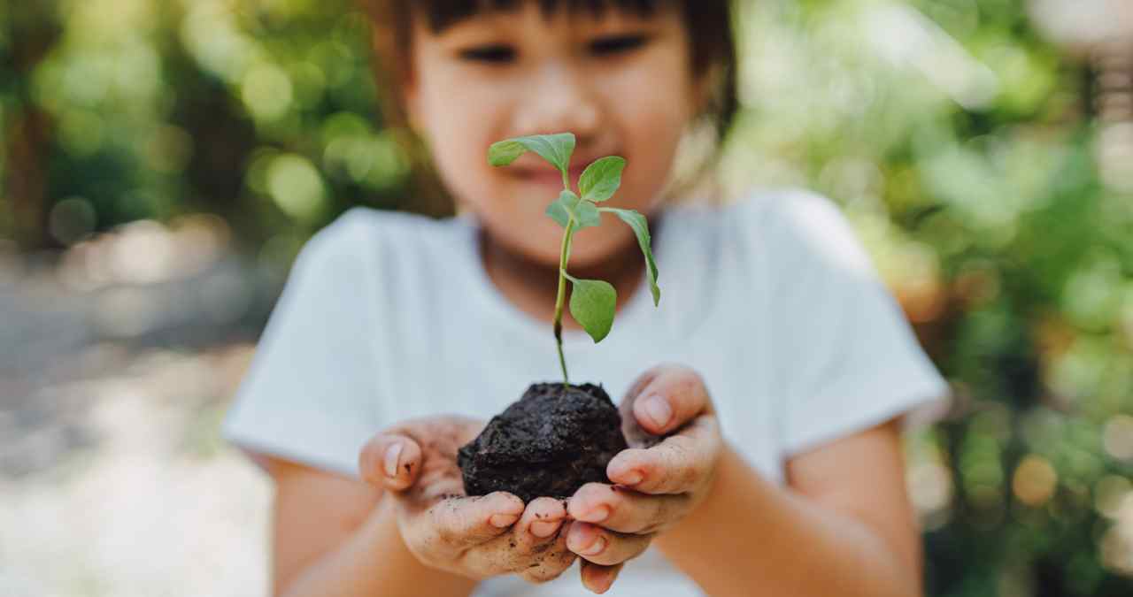 plantação com crianças 