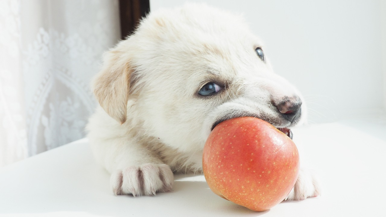 Olga Stabredova/iStock