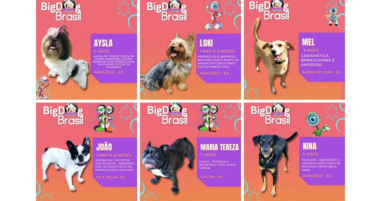 big dog brasil mosaico