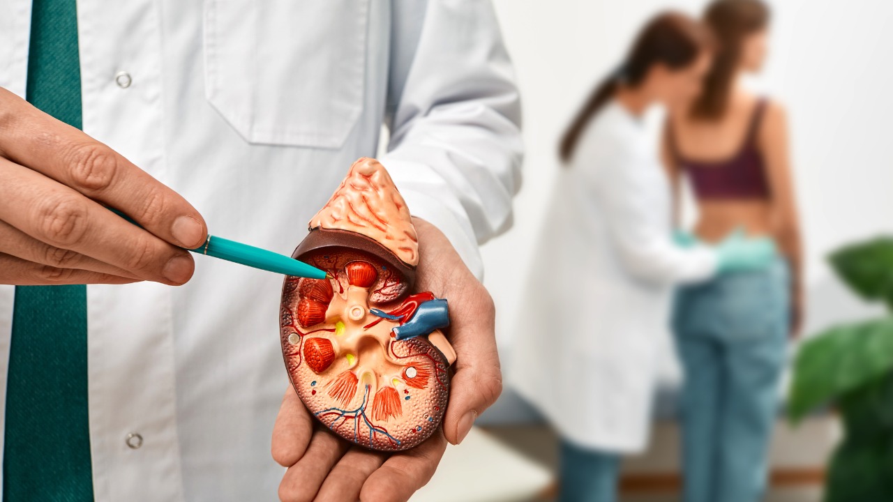 médico explicando um caso de infecção renal