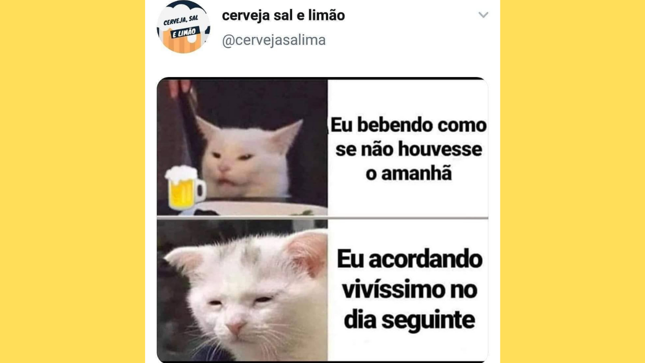 meme ressaca eu bebendo como se nao houvesse amanha