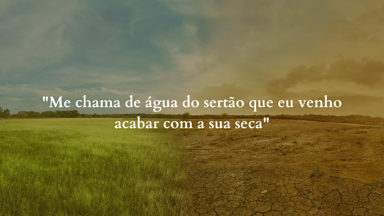 Seleções/canva