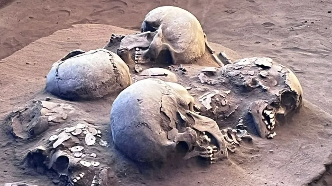 fóssil de 12 mil anos encontrado em Goiás