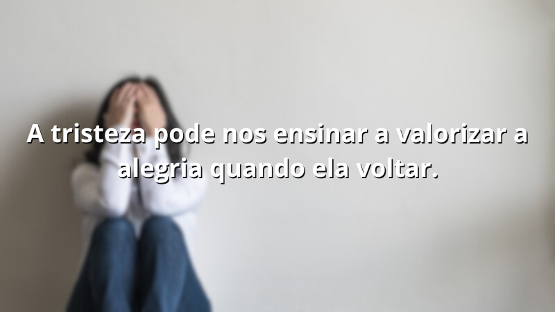 Imagem com a frase: A tristeza pode nos ensinar a valorizar a alegria quando ela voltar.