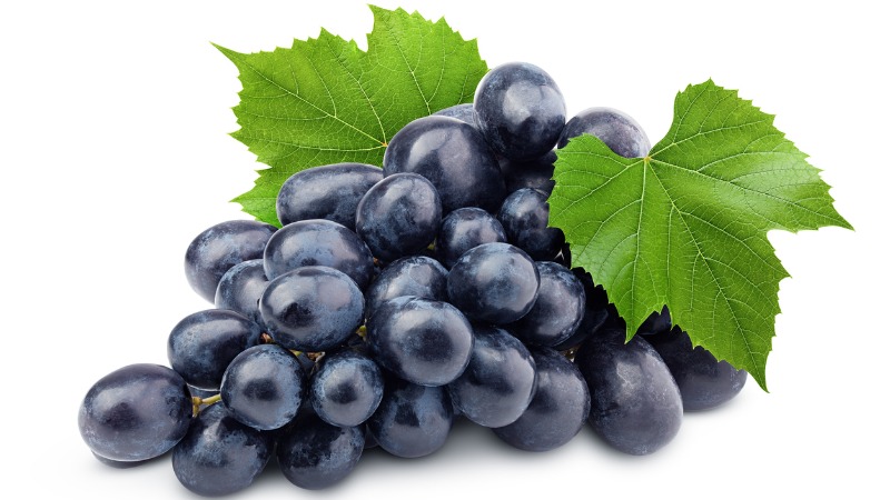 Uvas roxas.