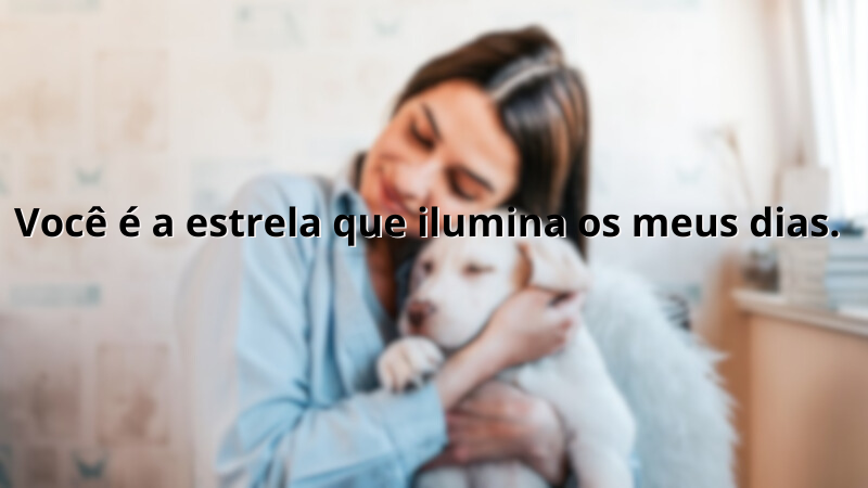 Imagem com a frase: Você é a estrela que ilumina os meus dias.