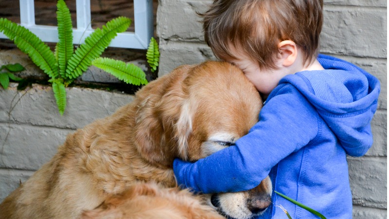 Crainça e golden retriever