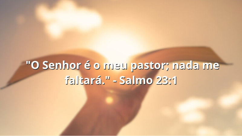 Imagem contendo frase.