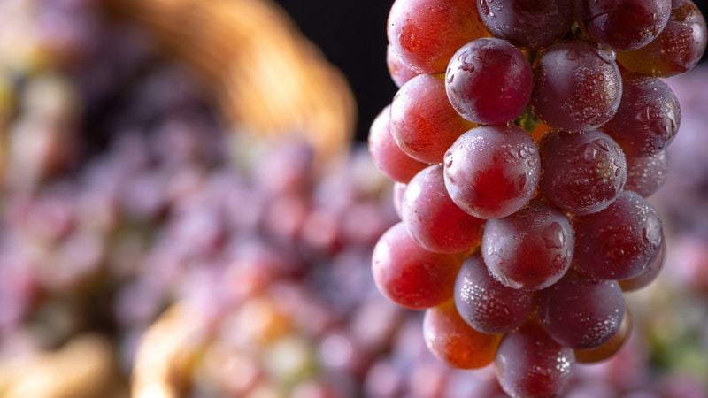 uvas são prejudiciais para cachorros