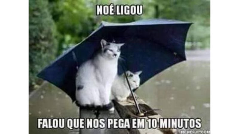 meme sobre chuva