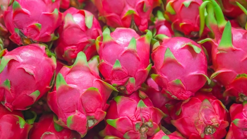 calorias da pitaya