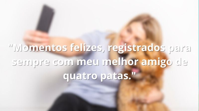 Frase para legenda de foto com cachorro.