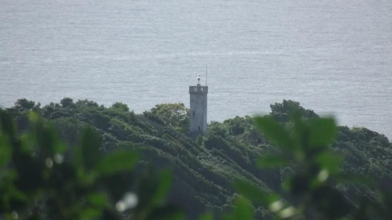 ilha das cobras