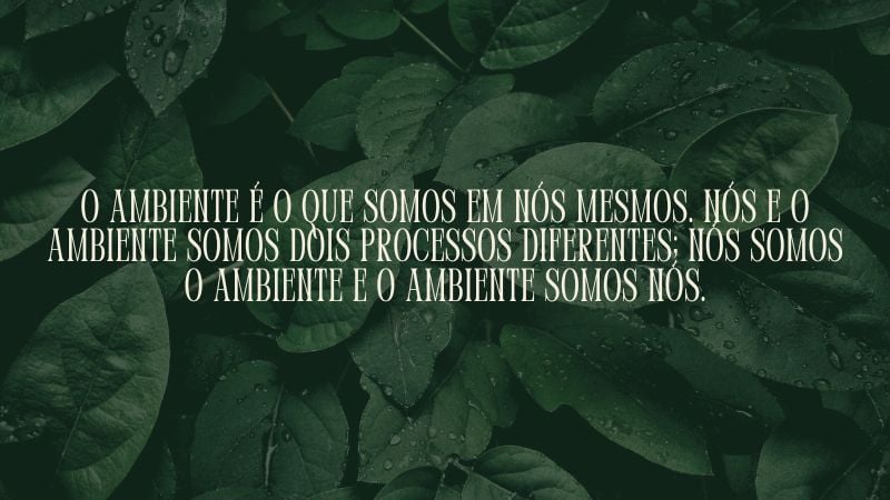 frases sobre o meio ambiente