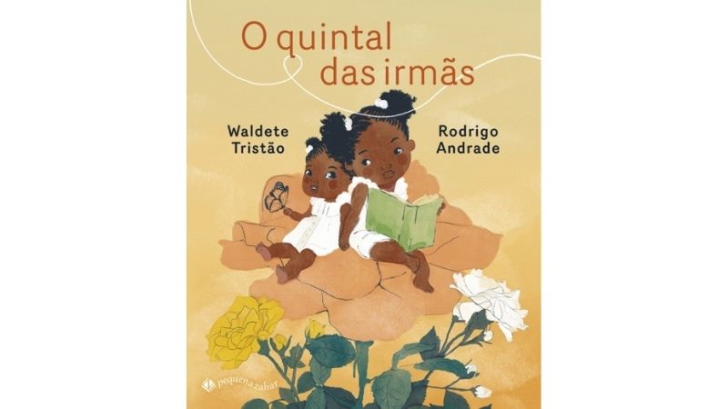 capa de livro sobre irmãos