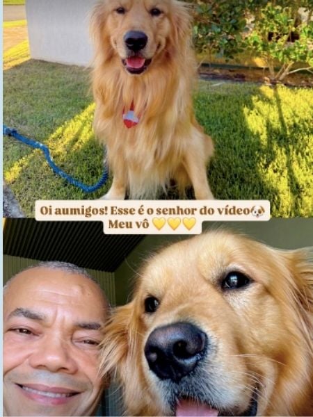 cachorro luke e seu "avô" que andaram de uber