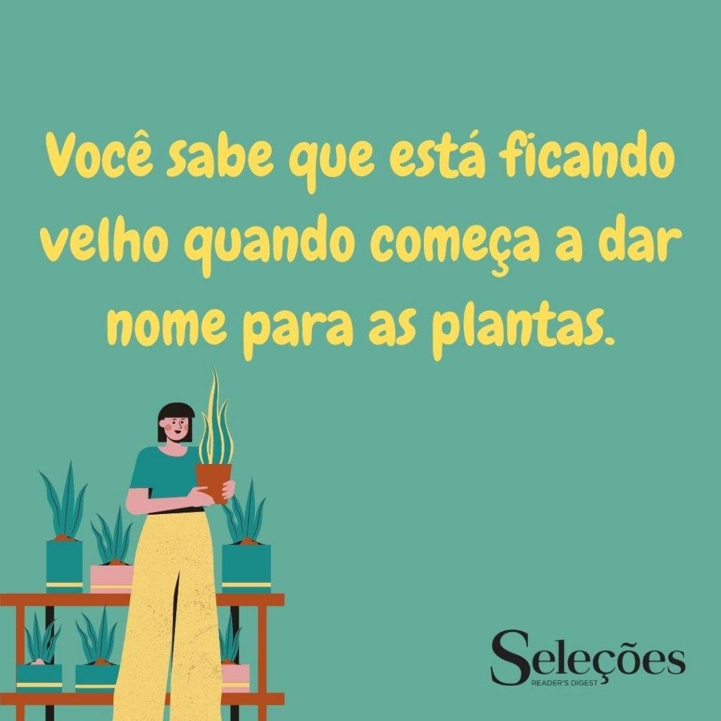 frases engraçadas para rir ate chorar 12