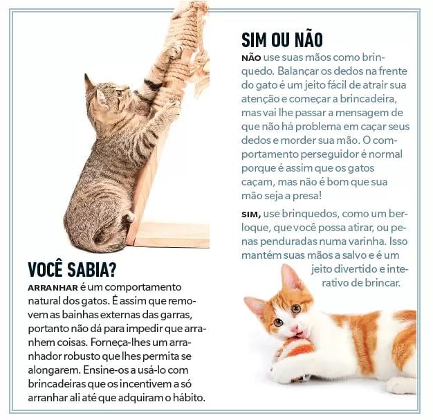 gatos