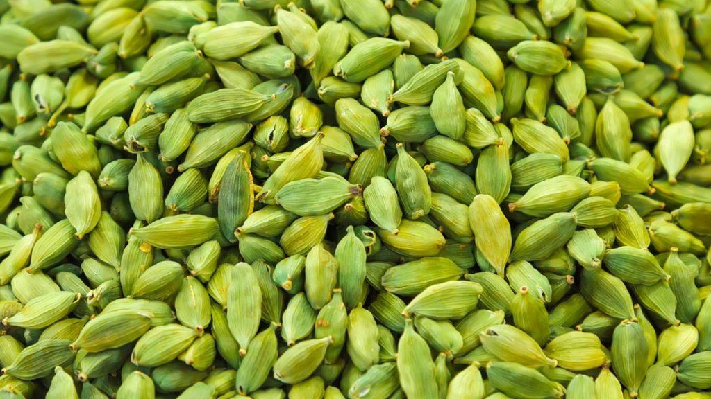 cardamomo 