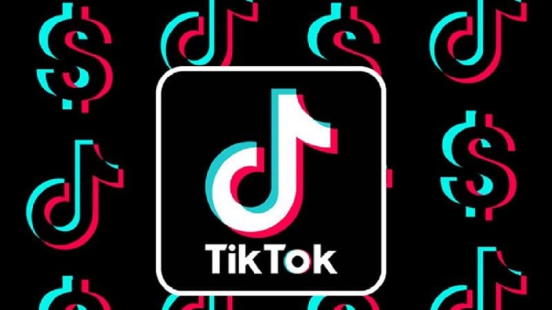 tiktok redes sociais para quem cansou do instagram